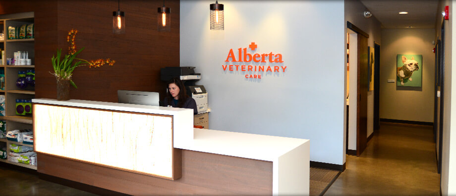 Veterinarians in Downtown Portland OR